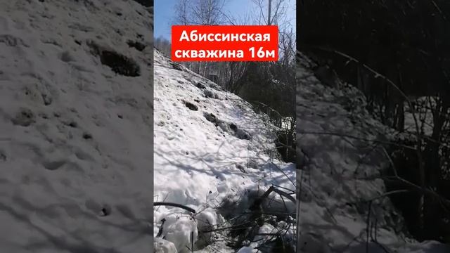 скважина абиссинская 16м, пропали в "родник"