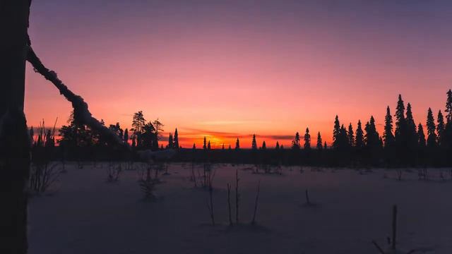 Новогоднее поздравление с Вивальди смотреть онлайн