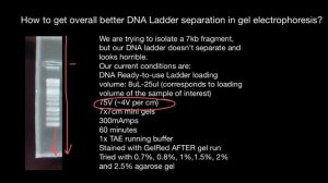 How to achieve good separation of leader bands in gel electrophoresis