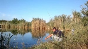 Микроджиг с приманкой Polaris от Crazy Fish