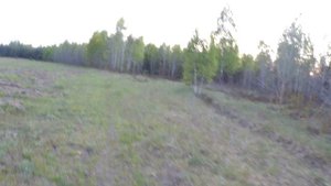 ПРОТИВОСТОЯНИЕ РОЕЛОВОВ И ПЧЕЛОВОДОВ.
