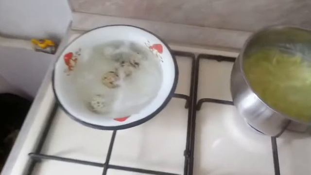 Густой рисовый суп с перепелиными яйцами смотреть онлайн