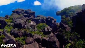 АУНИКА. Планетарное сознание. AUNIKA