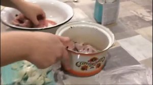 Муксун! Такое стоит попробовать! Северная рыба.