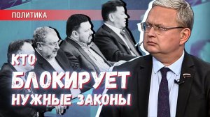 Может ли один депутат Госдумы изменить что-то в стране?