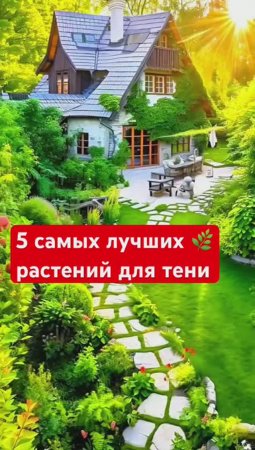 ЧТО ПОСАДИТЬ В ТЕНИ. 5 неприхотливых растений