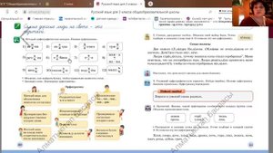 Русский язык.  3 класс.  Виды орфограмм