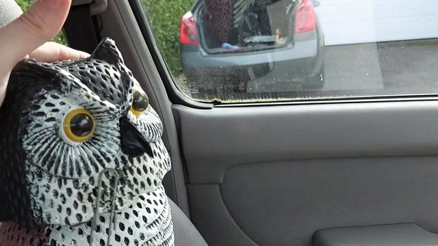 Nissan Primera P12 Reversing Camera: Pros & Cons (Risk To Micra) смотреть онлайн