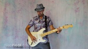 Fender American Standard Stratocaster 2012 MN Olympic White Test Drive by Mister Lido / Демо гитары