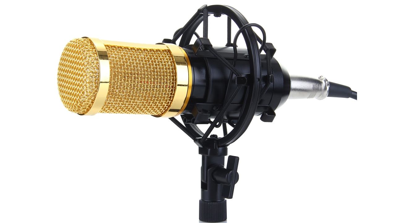 Обзор микрофона BM 800 + сравнение #22