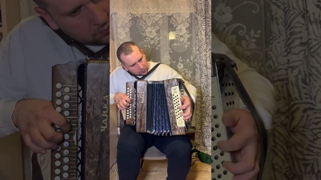 Вологда под гармонь #гармонь #гармоньвидео #народныепесни