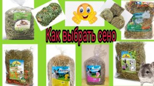 Как выбрать сено для шиншилл.