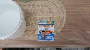 ?БОЛЕЗНИ И ВРЕДИТЕЛИ. БАКЛАЖАН. КАК ЛЕЧИТЬ??