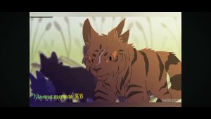 Гимн Котов-воителей