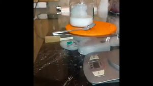 Как приготовить смесь и кормить котенка