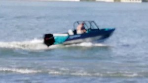 Orionboat 49 D и мотор Golfstream F60 FEL-T EFI