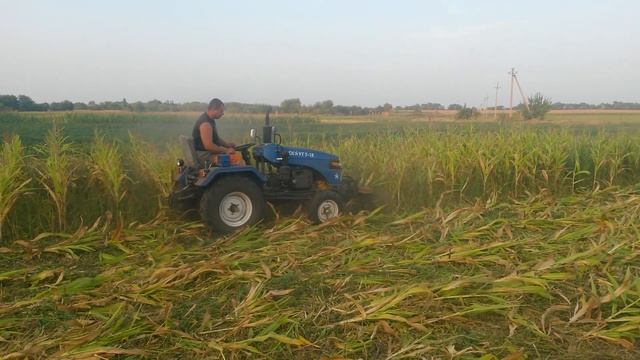 Скаут Т 18, викошування огороду смотреть онлайн
