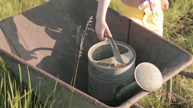 социальная реклама сохраняйте деревья смотреть онлайн