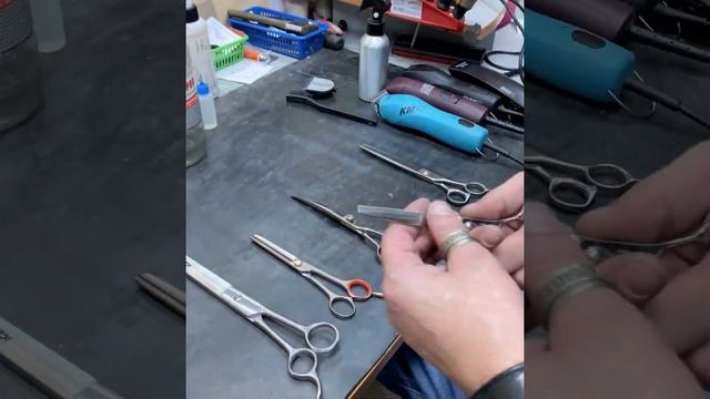Виды и выбор ручки ножниц для грумеров