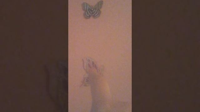 НУ И СОН,НЛО,СТРАШНАЯ РОЖА В НЕБЕ,ПРЕЛЬЩЕНИЕ,С НЕБА...... смотреть онлайн