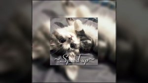 Dan Balan, Вера Брежнева - Лепестками слез [SPEED UP]