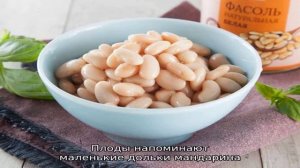 Особенности выращивания белой фасоли