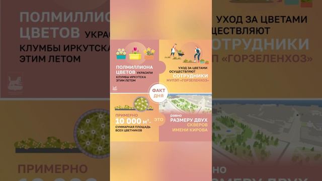 #Фактдня_Иркутск – площадь всех клумб