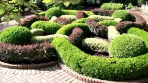 Композиции в ландшафтном дизайне. Правила формирования и виды композиций