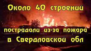 В селе под Екатеринбургом начали эвакуацию из-за лесного пожара