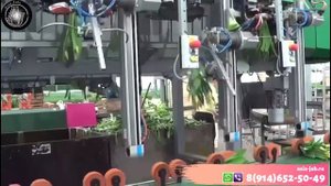 Работа в Нидерландах. Цветочные фабрики