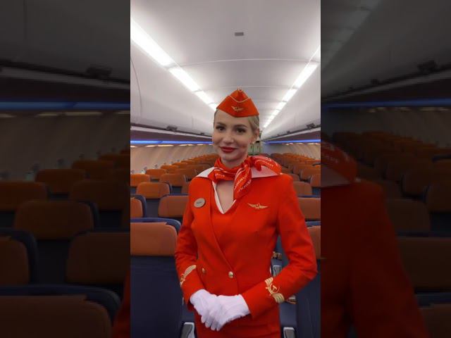 Бизнес-класс и эконом класс нового Airbus A320neo Аэрофлота