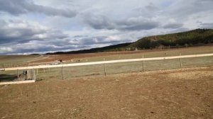 Катумские овцы ч 25