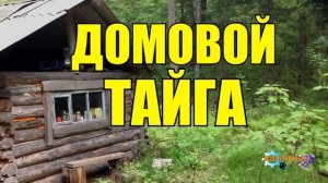 0904 - ИСТОРИИ ИЗ ЖИЗНИ _ ДОМОВОЙ И КОРОВЫ.mp4