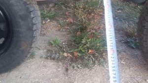 Обзор нового прицепа для перевозки пчел (пчелоприцепа)