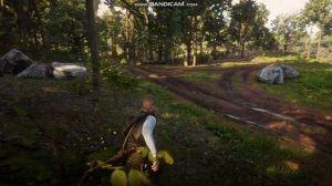 Как добыть превосходную шкуру пантеры в RDR2? Подробный гайд