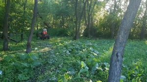 Косим травушку на мотоблоке с передним адаптором