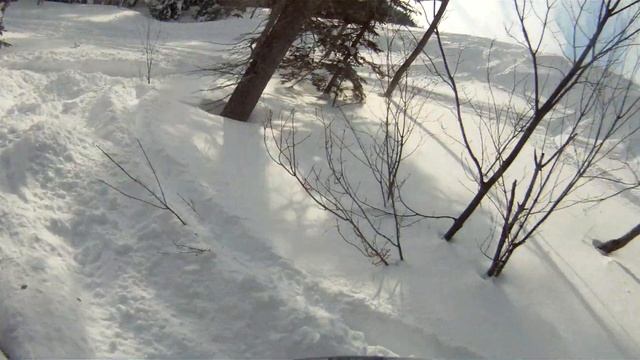 2015 Polaris Pro Rmk 800 163 смотреть онлайн