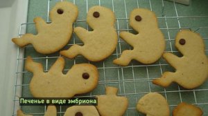 Какие Блюда на Хэллоуин приготовили Американцы