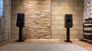 Epos ES14N heard them at Signals Hifi. Very nice #hifi #audiophile #speakers