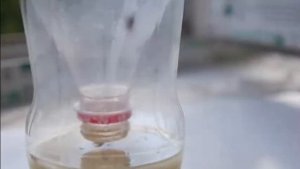 3 Способа Как Сделать Ловушку для Насекомых