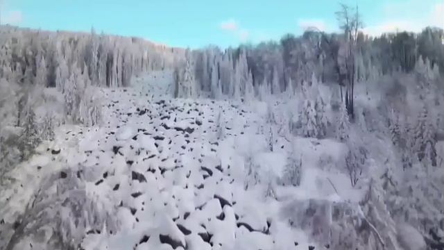 SOS! РЕВДА.ШКОЛА. АЗИЗОВ ПЛАТИТ ДЕНЬГИ ДЕТЯМ. ОЛЬГА УРАЛОЧКА LIVE. смотреть онлайн