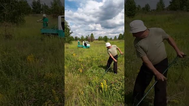 Сельская жизнь и мотороллер Муравей смотреть онлайн