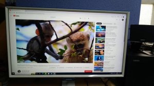 Монитор Samsung S24E391HL, 1920x1080, 75 Гц, PLS