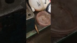 Есть ли жидкость в "гидравлических" сайлентблоках FEBI