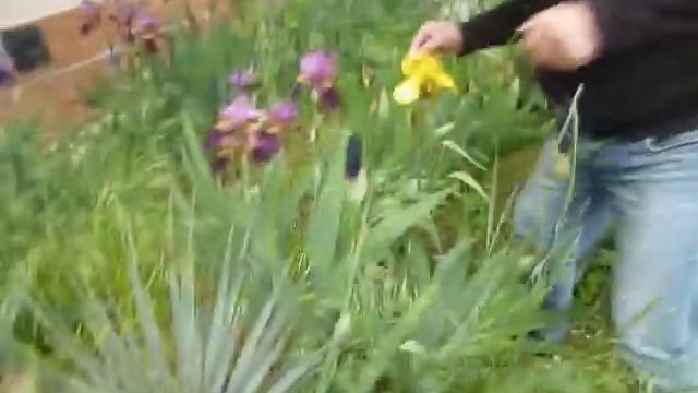 Нада проверить. S02E10. Ароматы ирисов смотреть онлайн