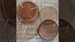 Копейки Мира.