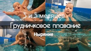ГРУДНИЧКОВОЕ ПЛАВАНИЕ | Первое занятие ● Ныряние