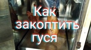 Как закоптить гуся!