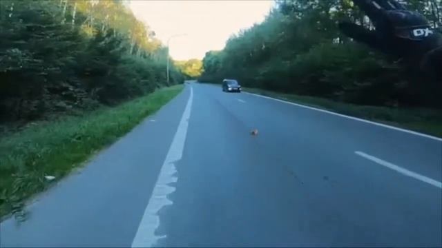 Что Такое Человечность / What Is Humanity