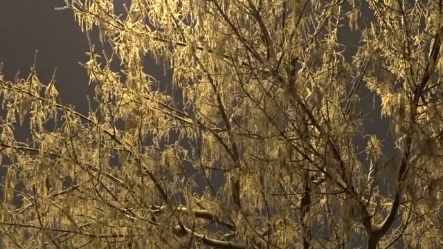 Атмосферная изморозь в Москве